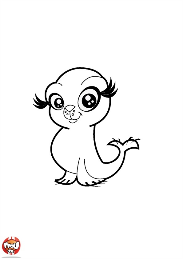 Urocza Foczka - Kolorowanka do Druku dla Dzieci kolorowanka do druku